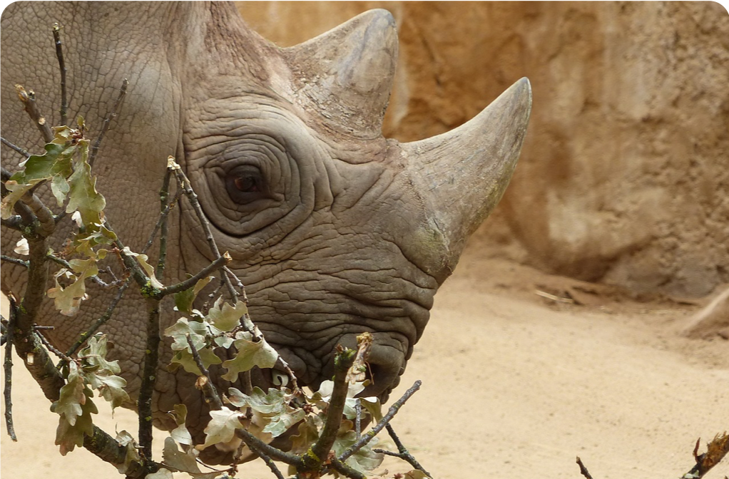 QDataTypes threatened