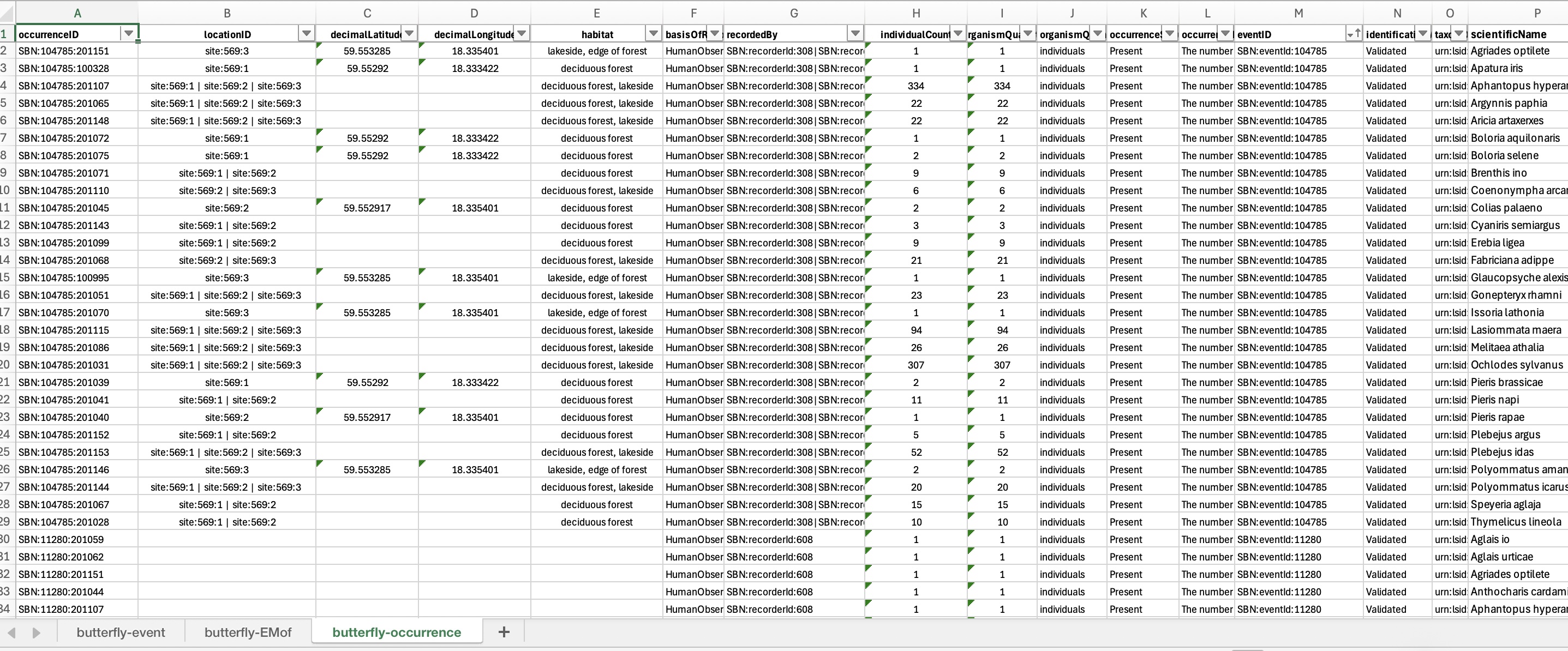 Use Case Practice Simple Spreadsheet