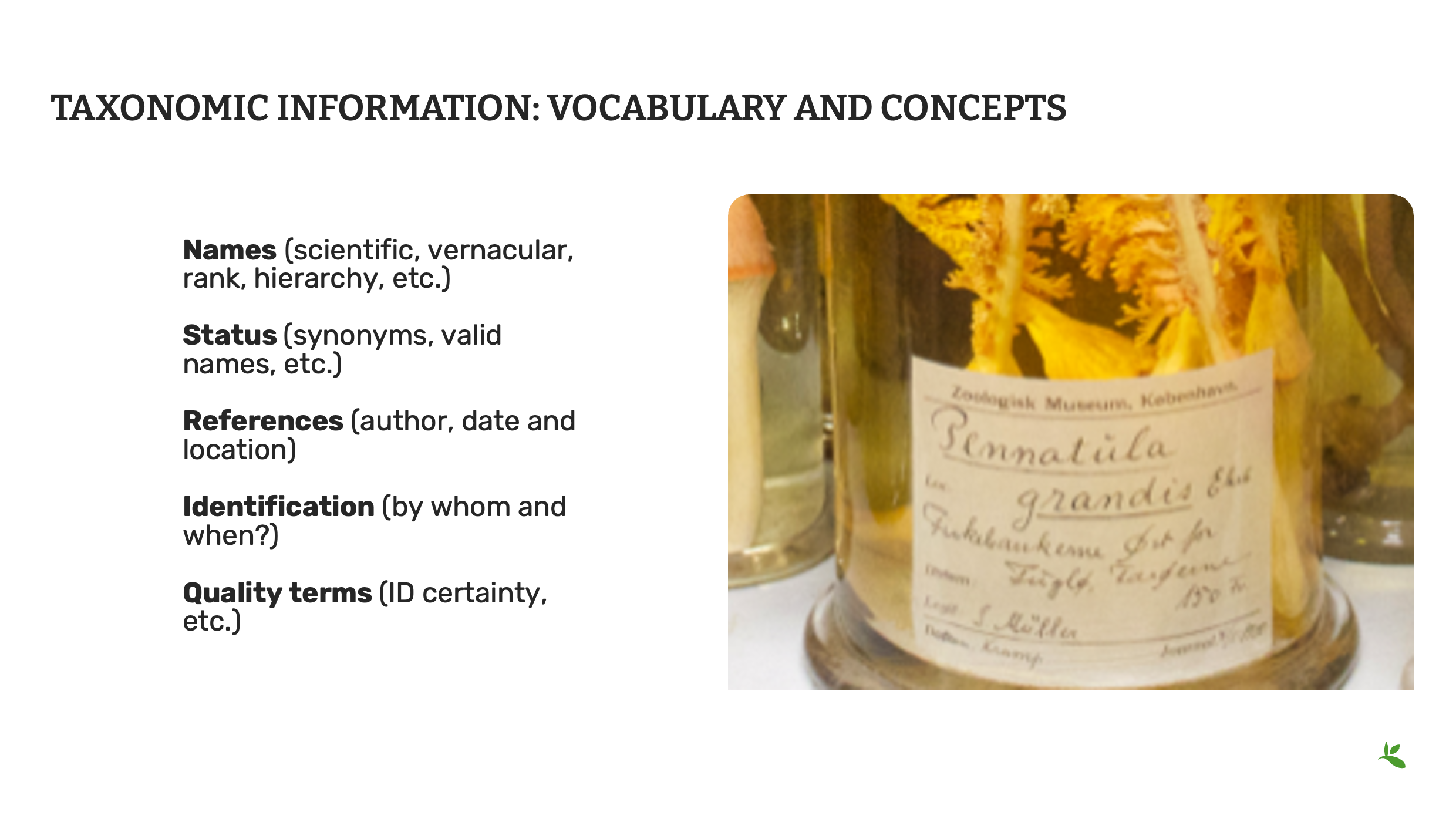 capture quality Slide7