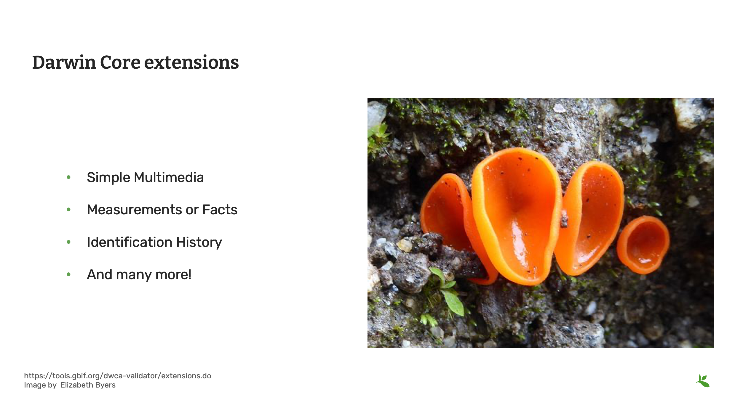 capture standards dwc Slide15