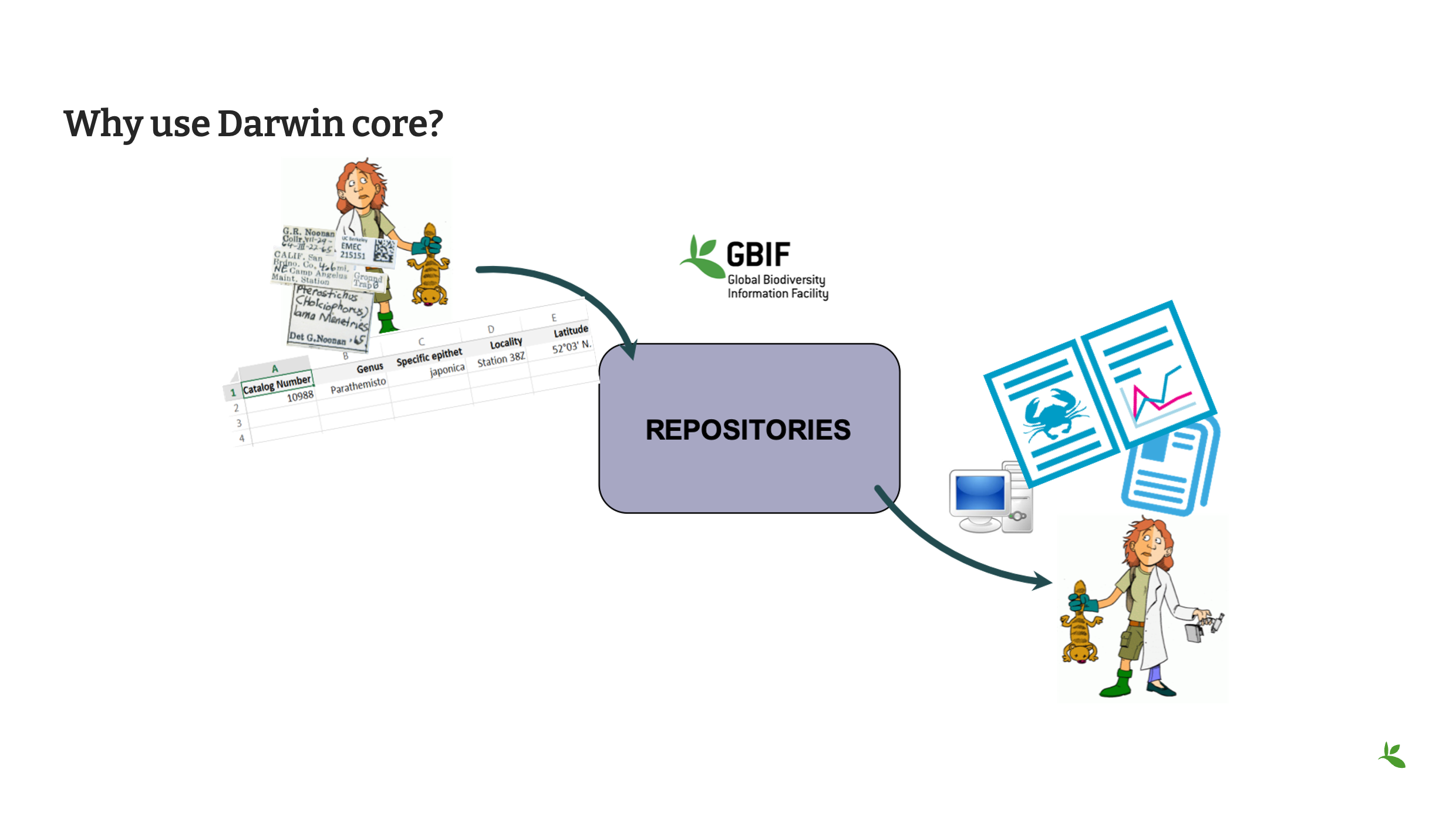 capture standards dwc Slide24