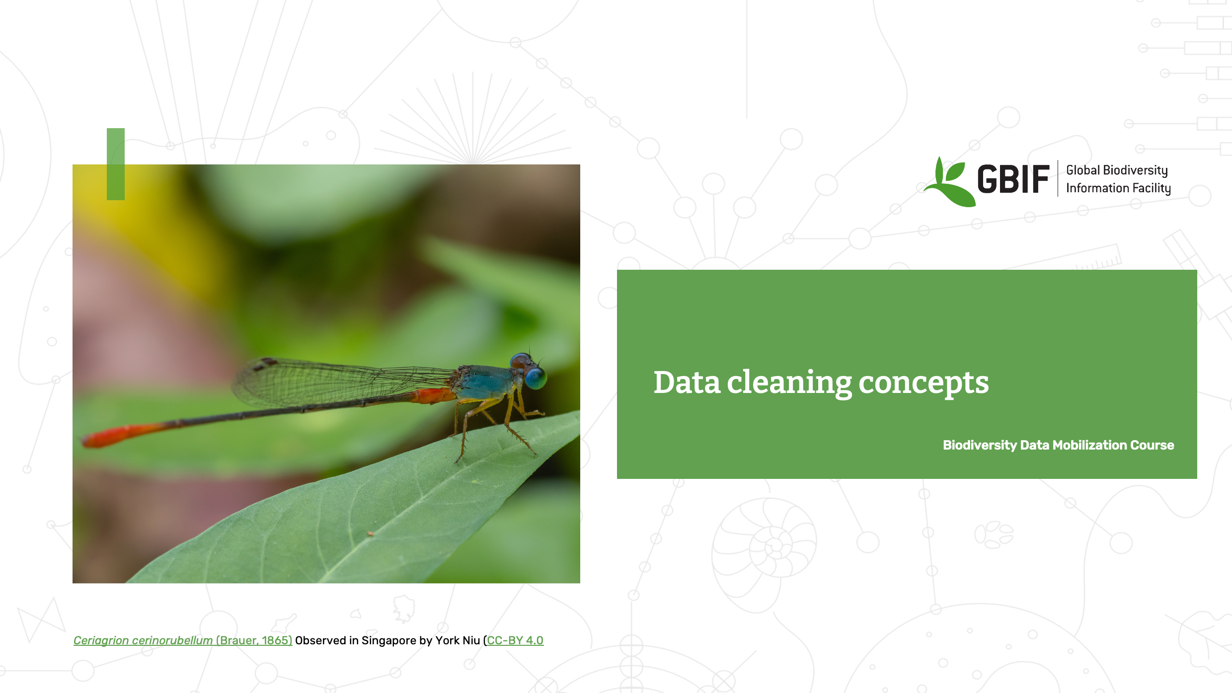 management cleaning concepts Slide1