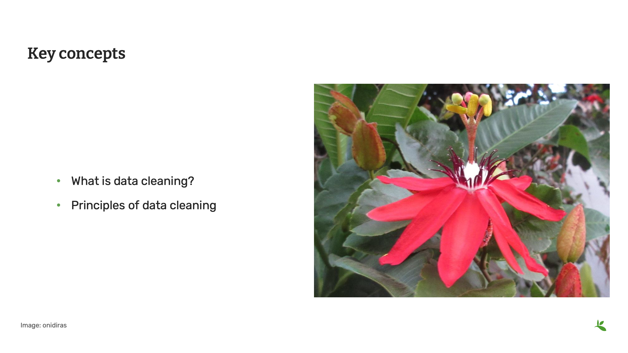 management cleaning concepts Slide2