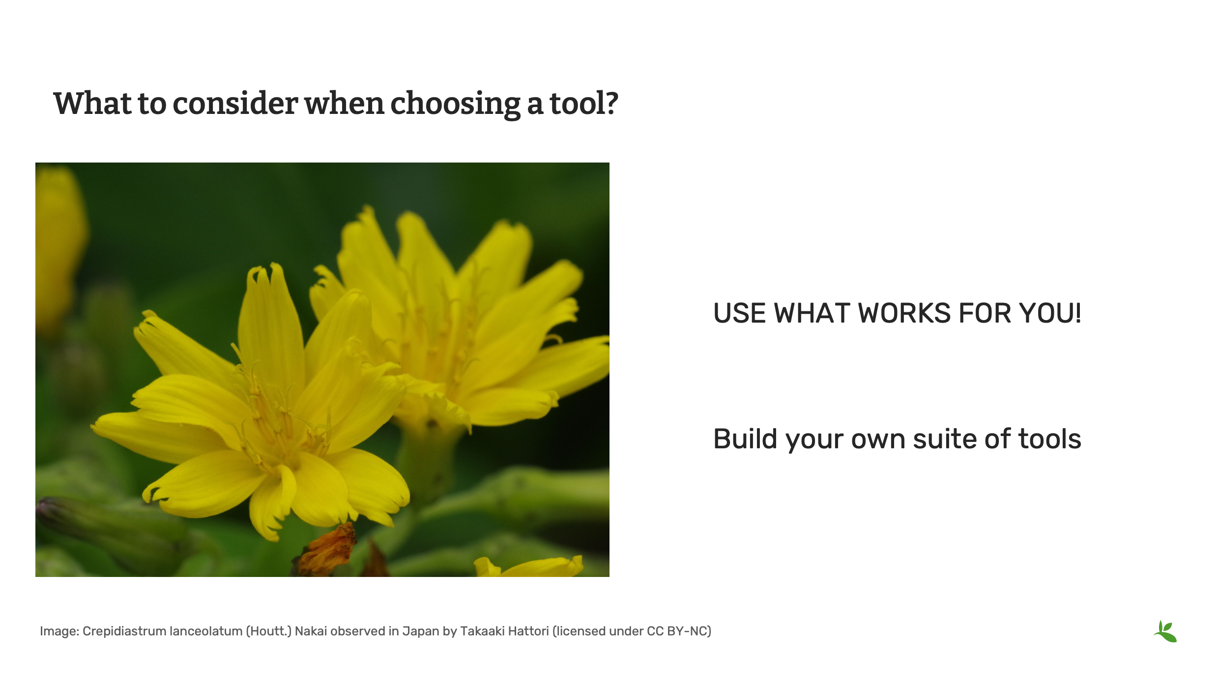 management tools Slide4