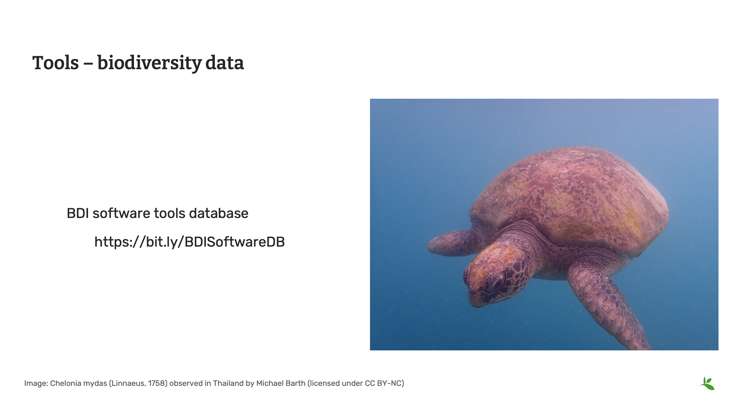management tools Slide6