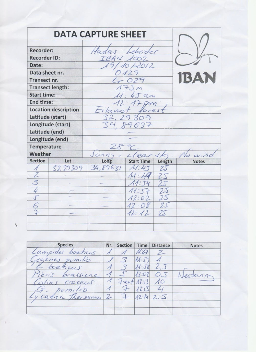 use case 2 lepidoptera analogue