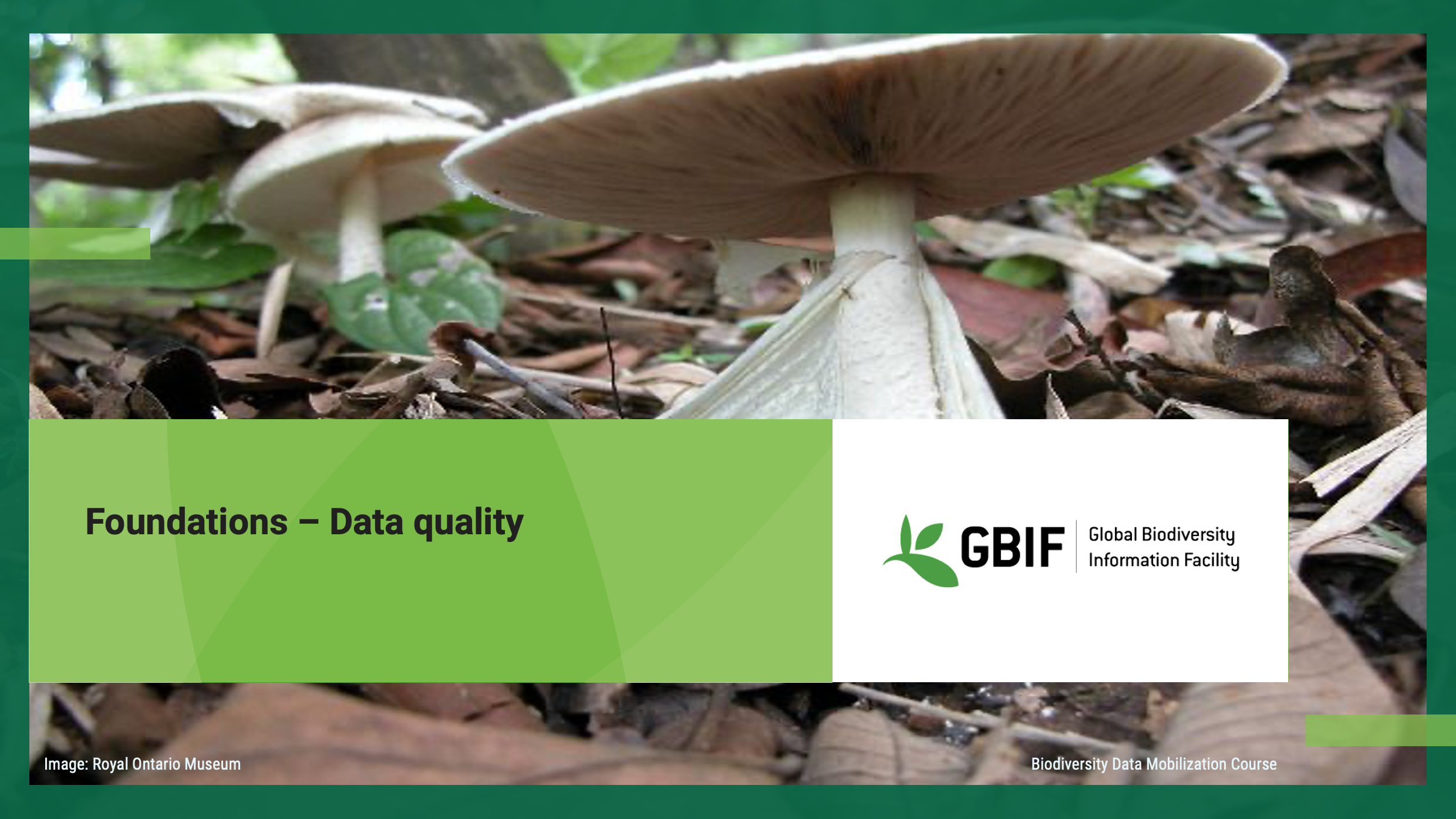foundations data quality Slide1