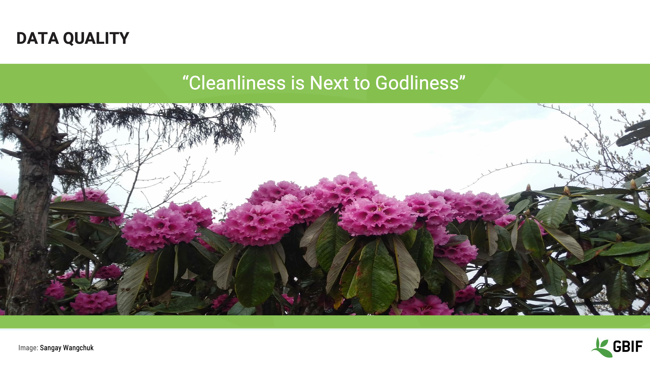 foundations data quality Slide3