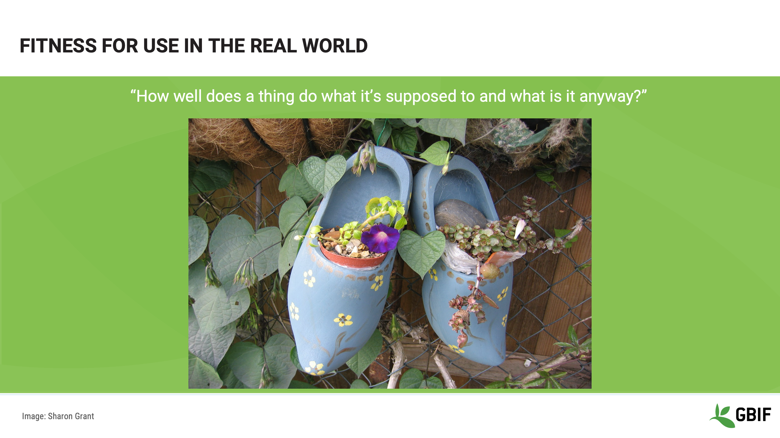 foundations data quality Slide8