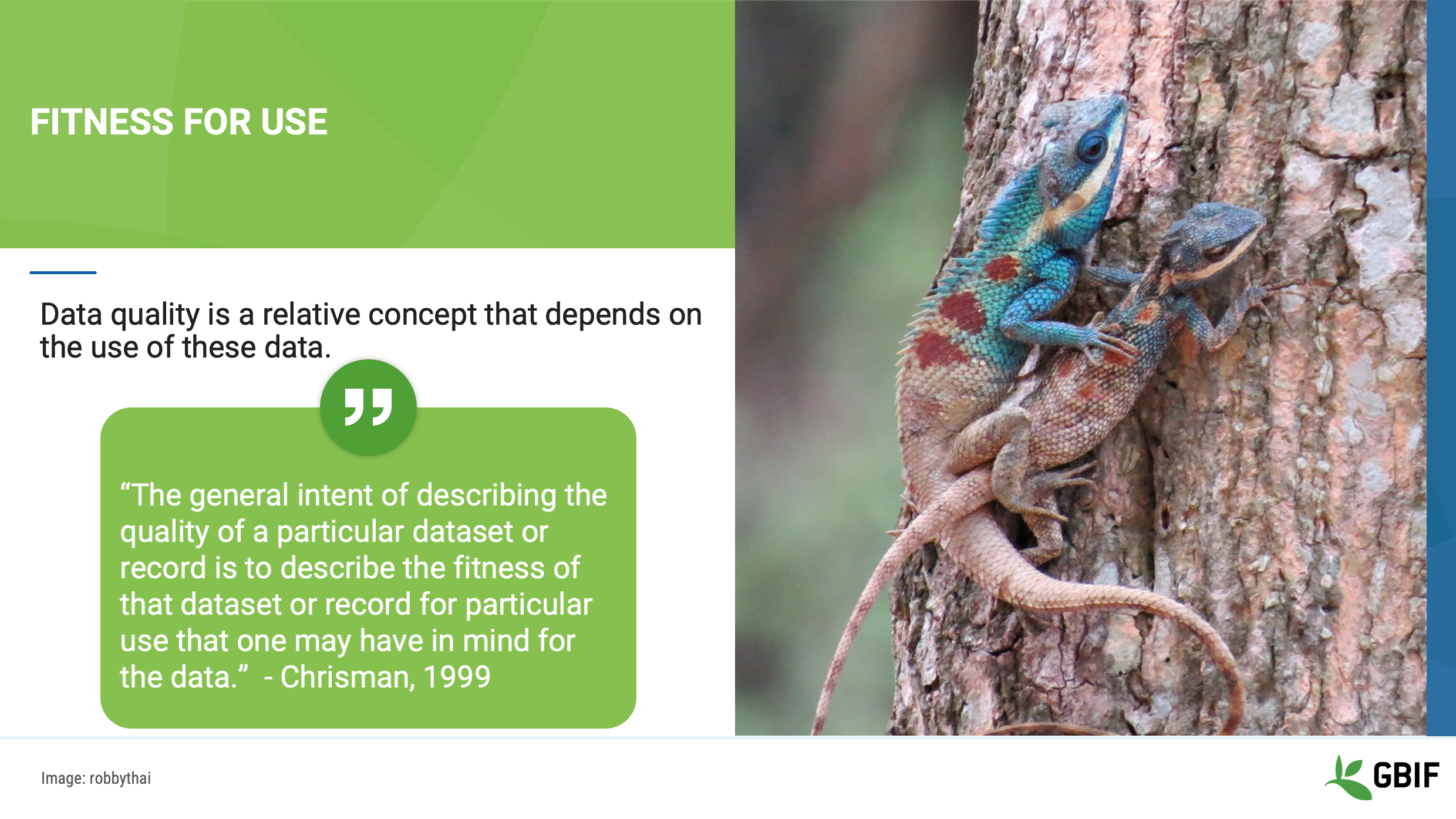 foundations data quality Slide9