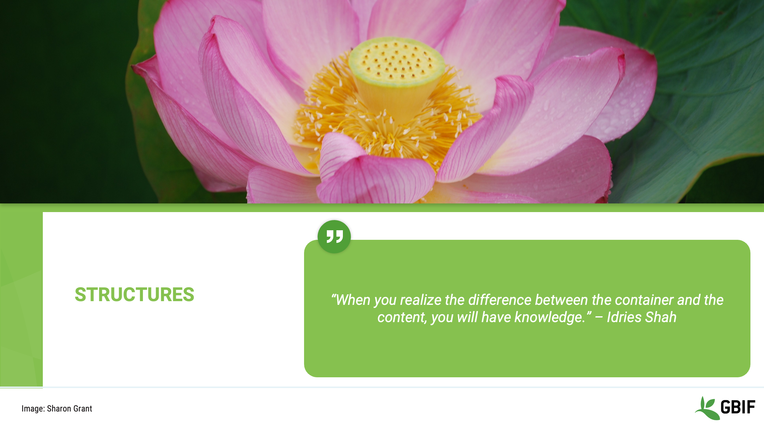 foundations structures Slide3