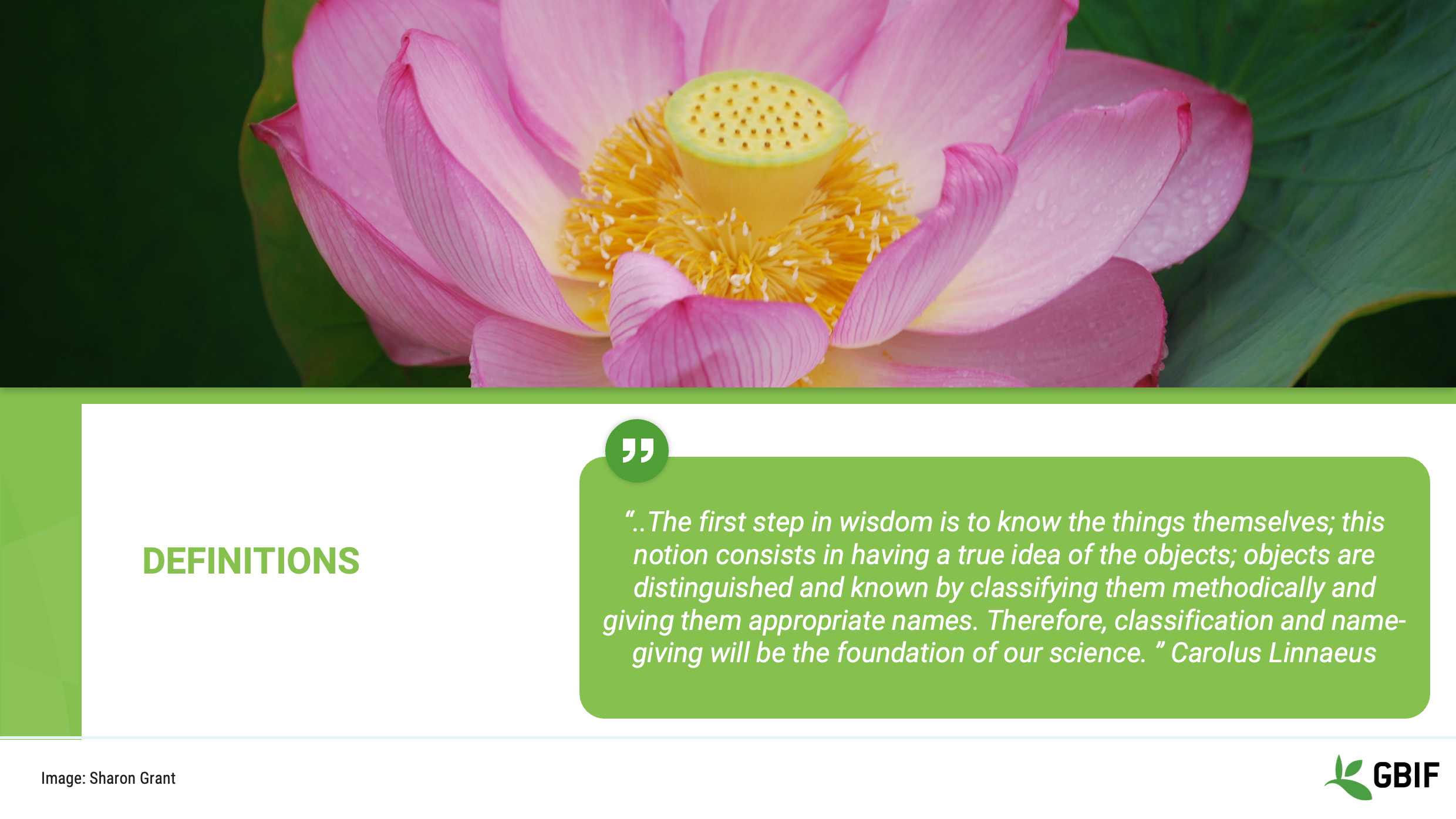 foundations terminology Slide3