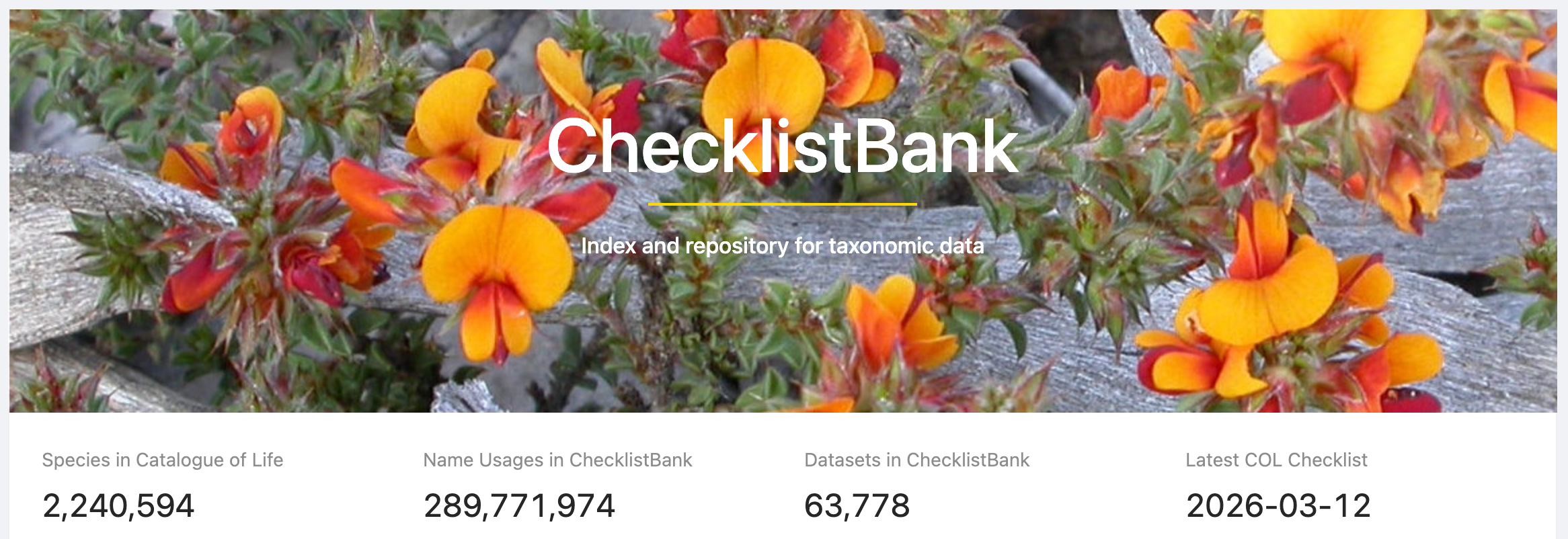 ChecklistBank 04 07 2026 01 43 PM