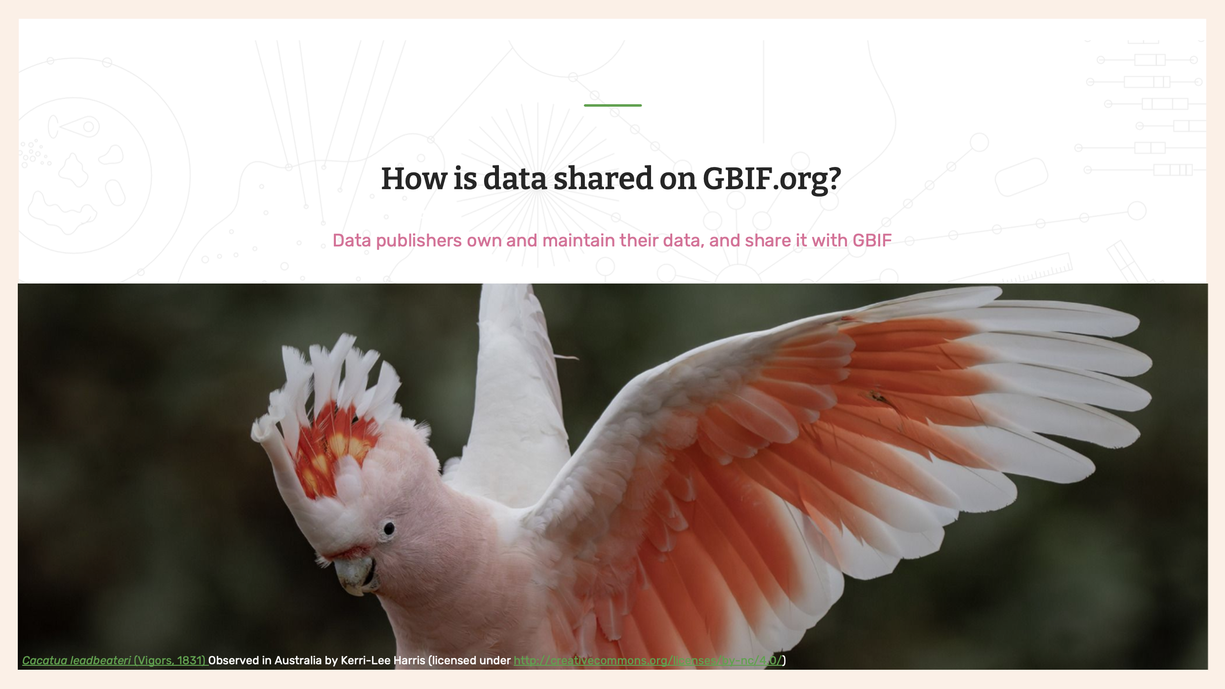 how data is shared Slide1