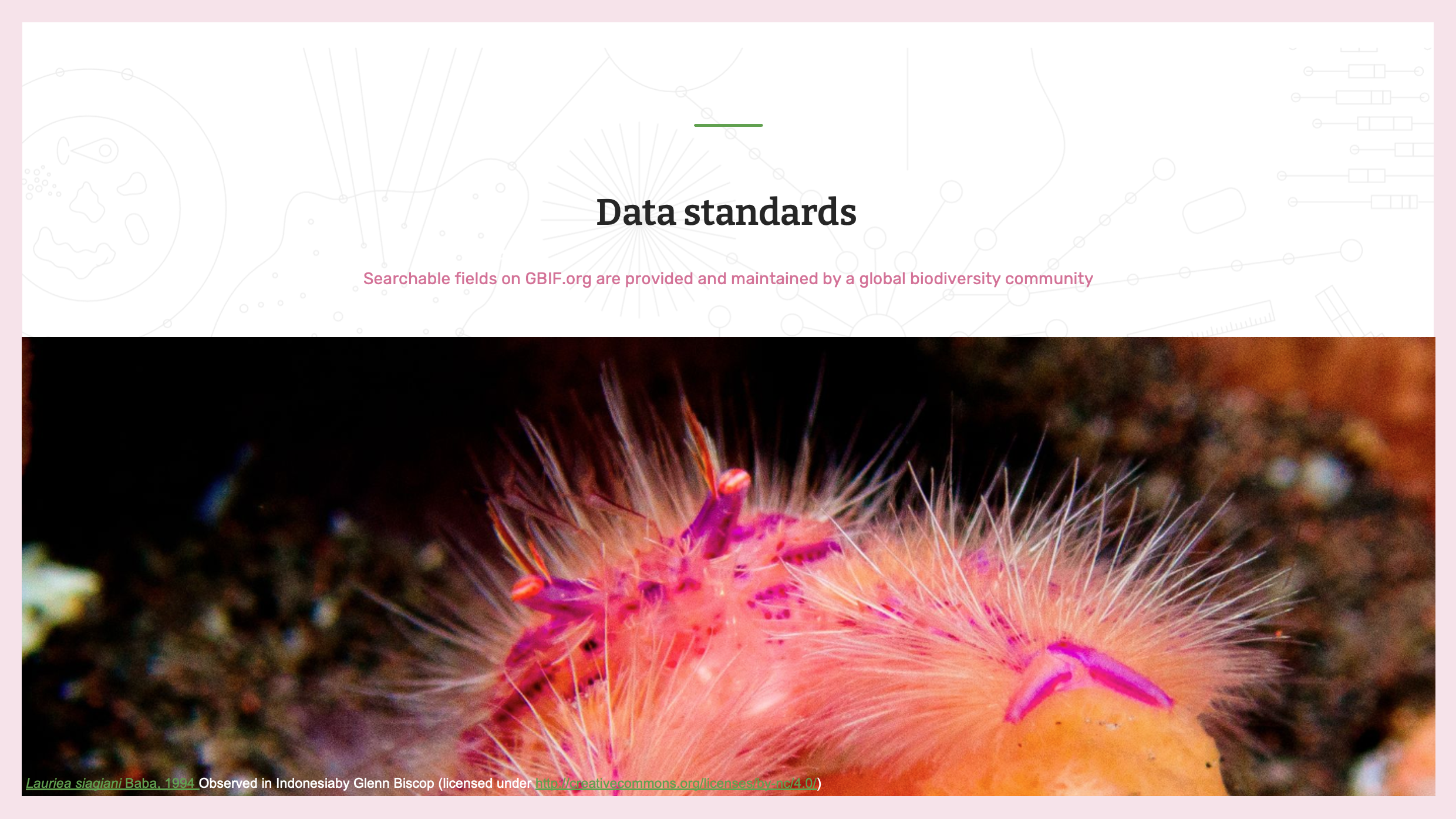 how data is shared Slide7