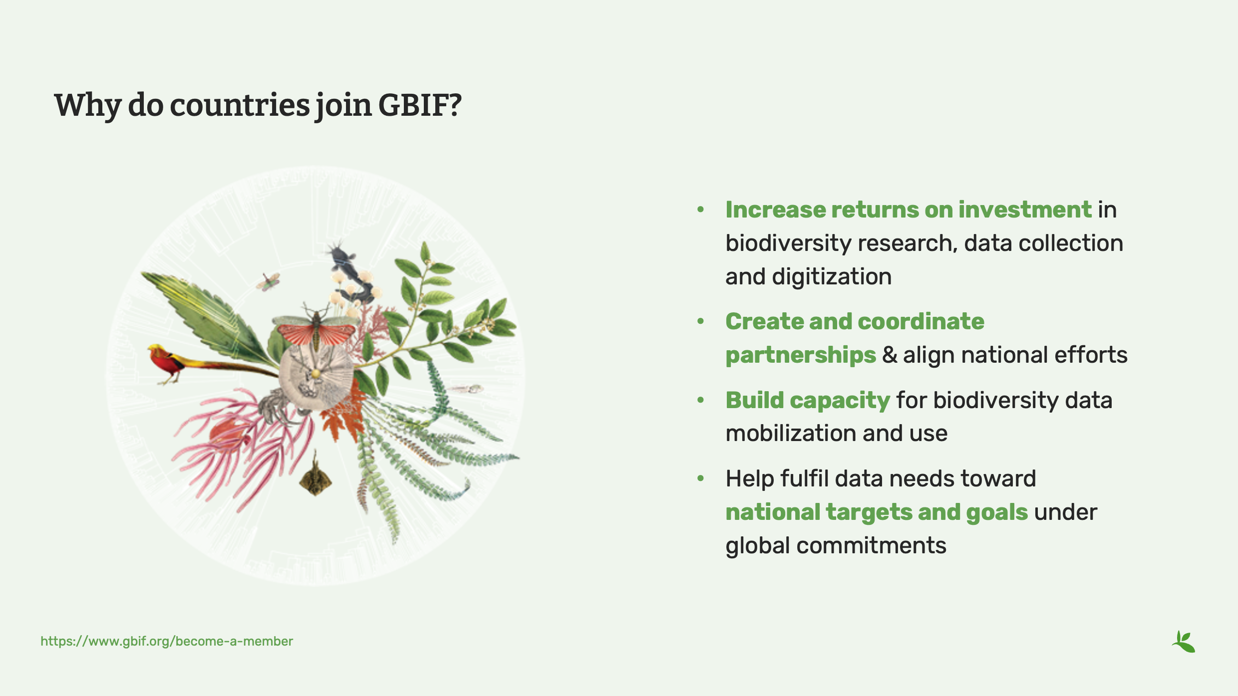 intro to gbif Slide4