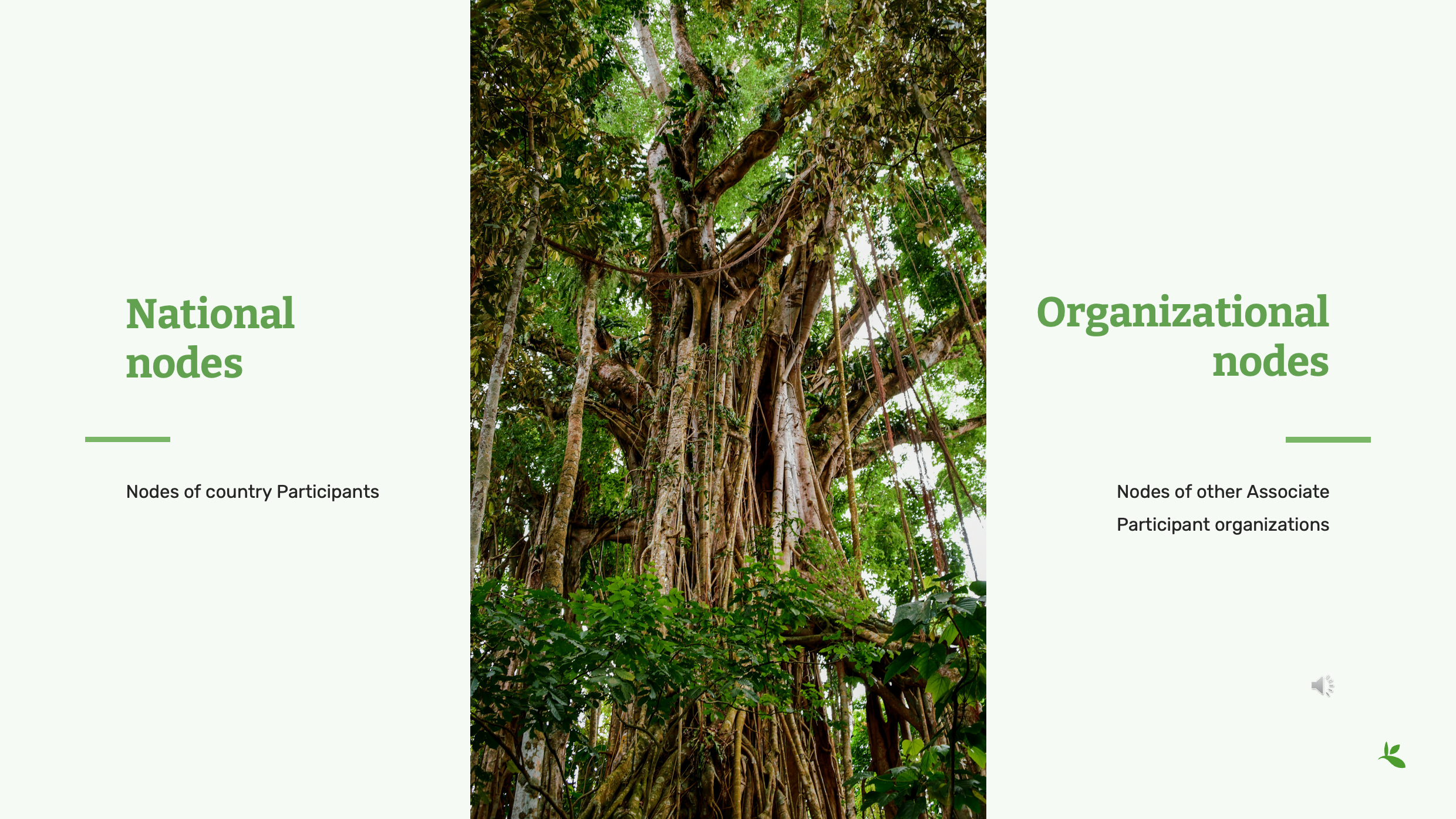 role of nodes Slide4