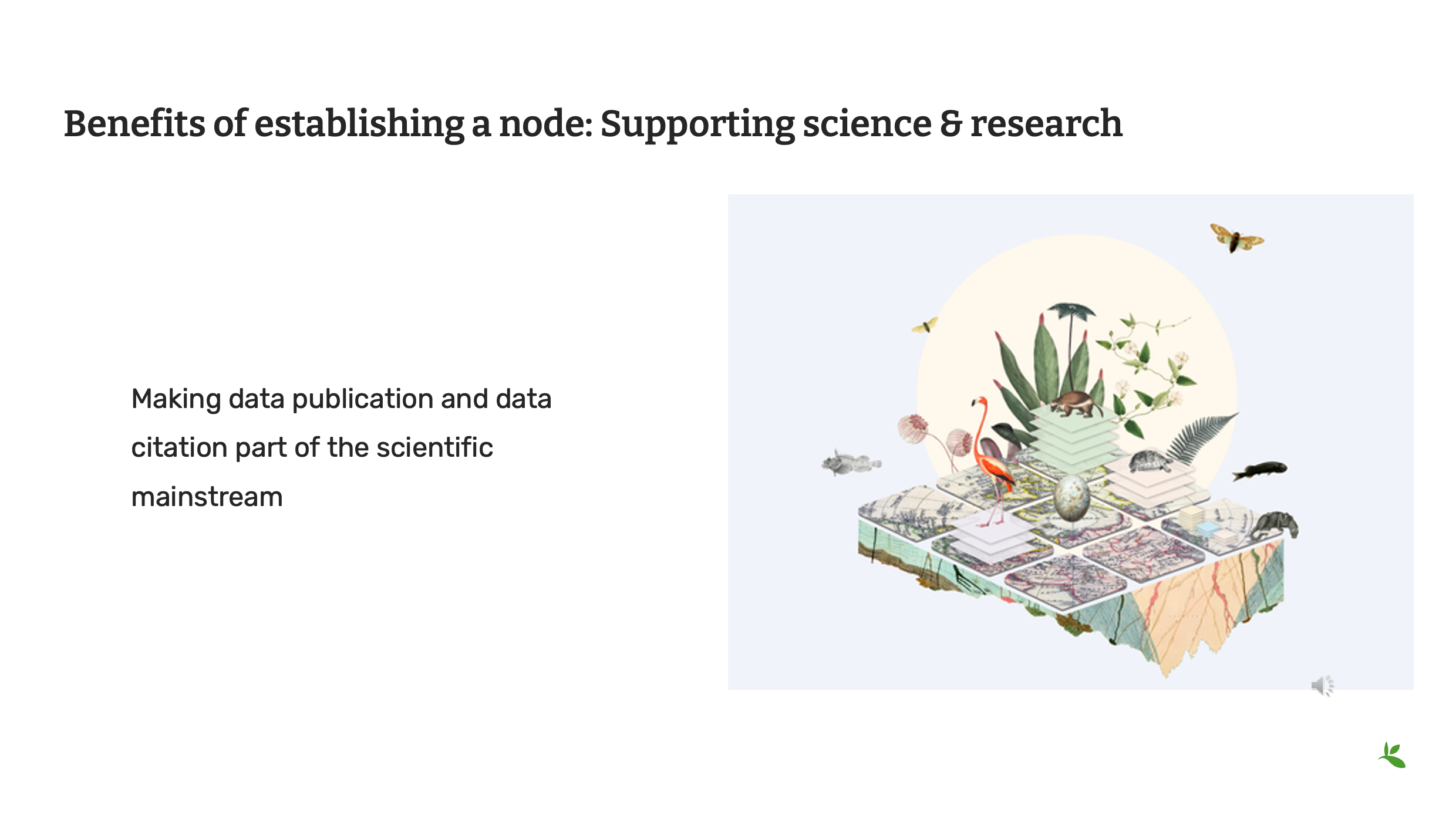 role of nodes Slide6