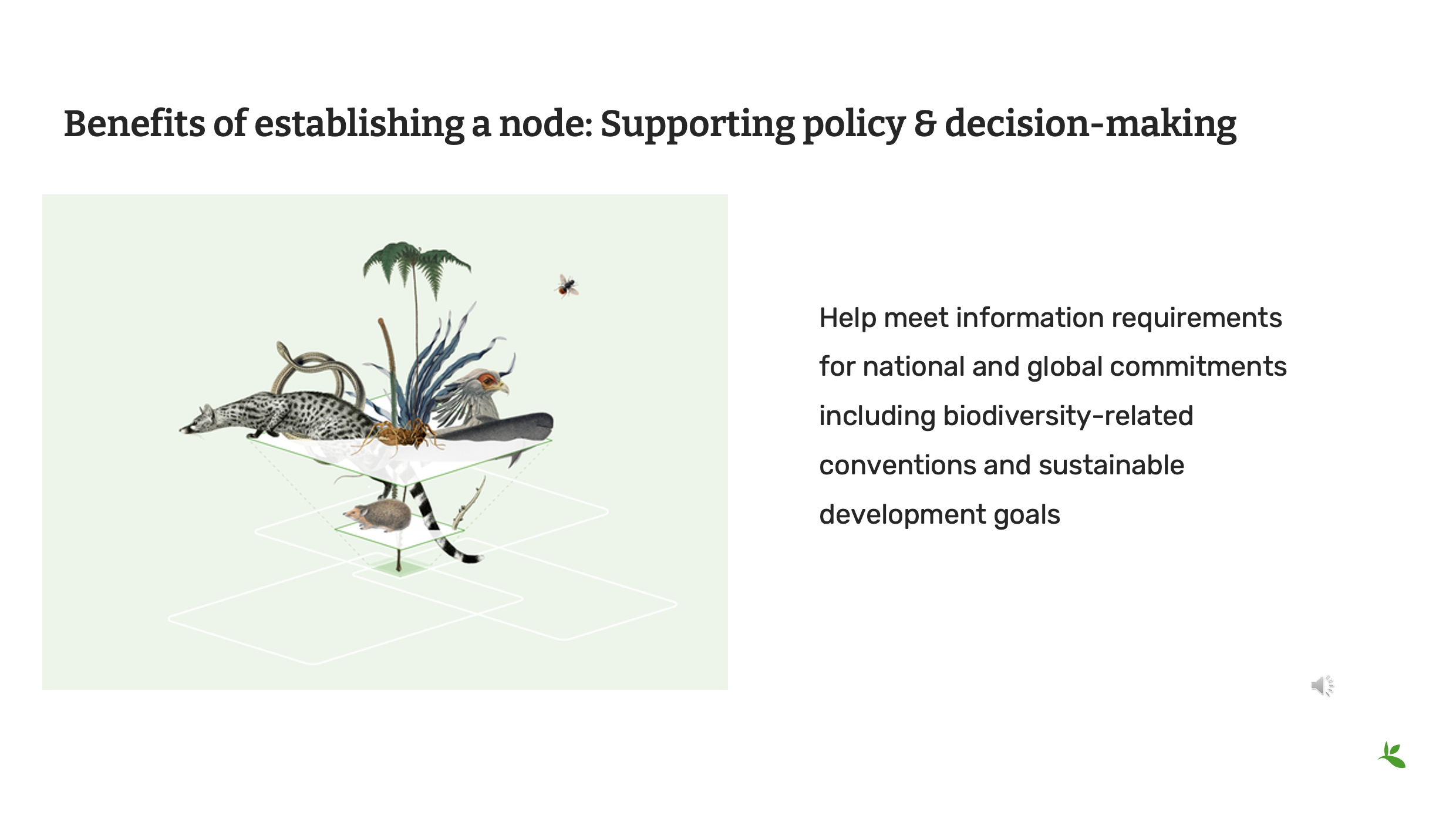 role of nodes Slide7