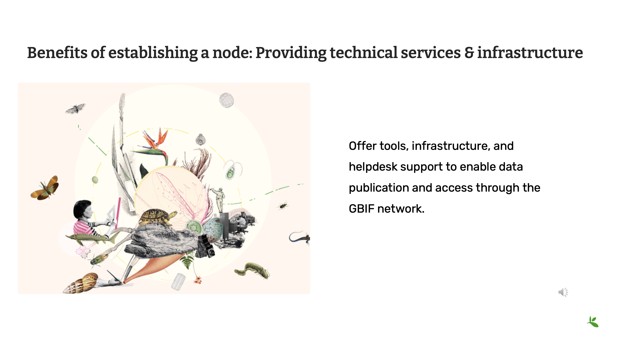 role of nodes Slide9