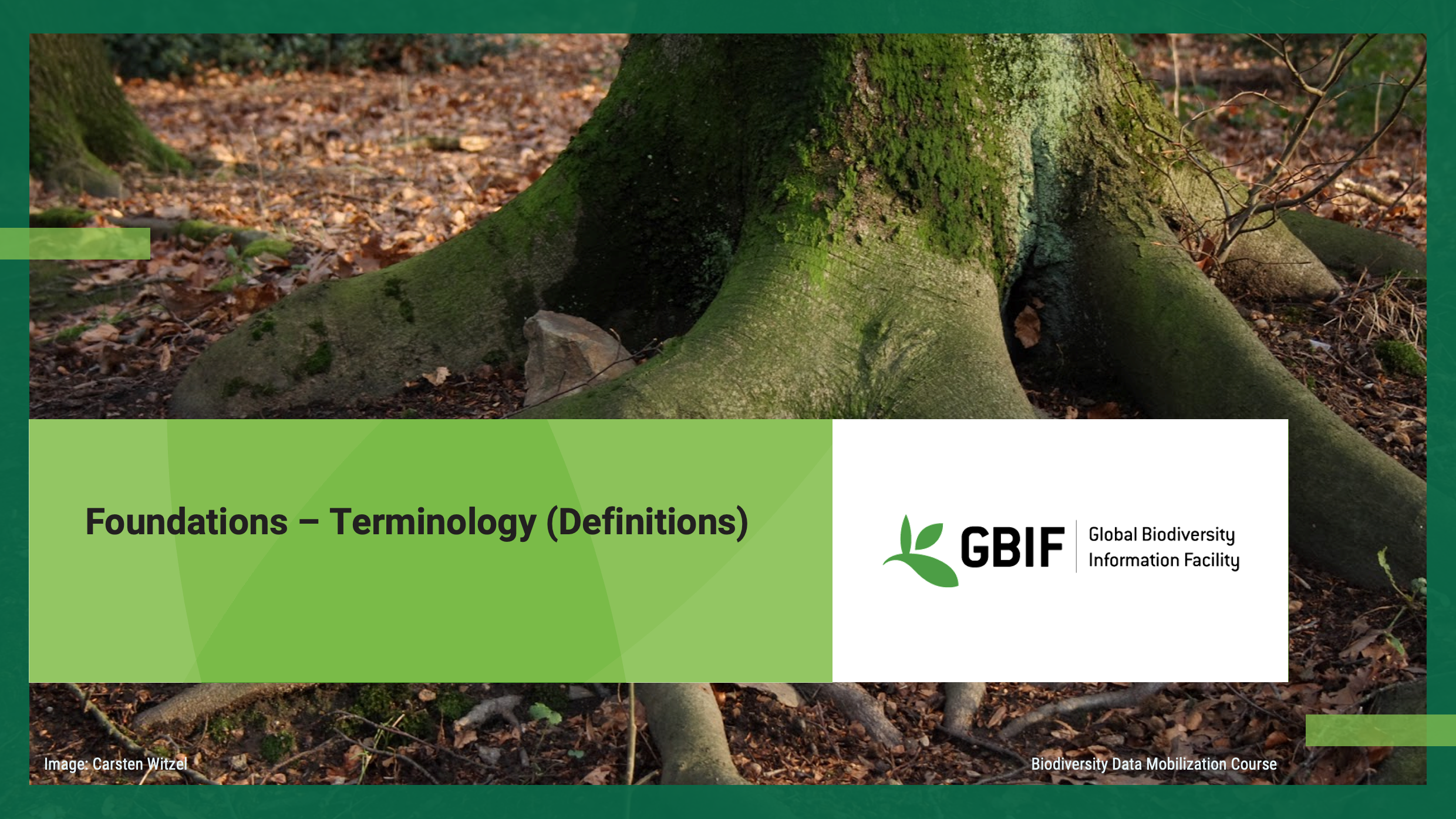 foundations terminology Slide1