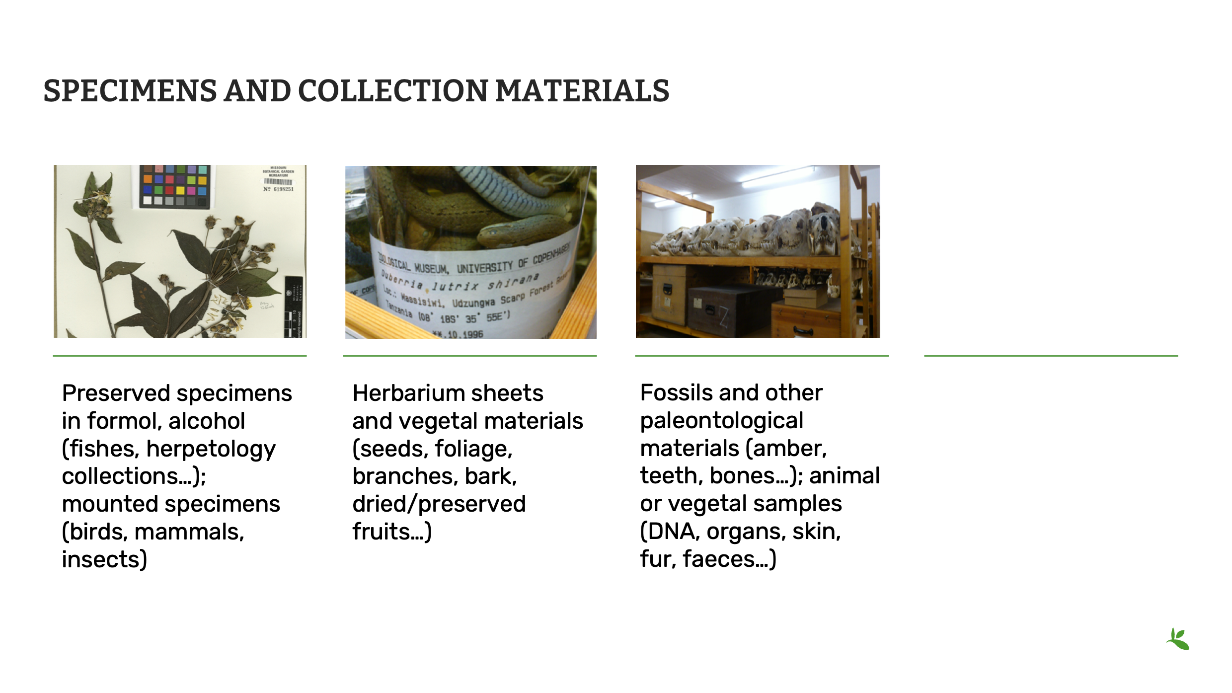 capture dataset types Slide7