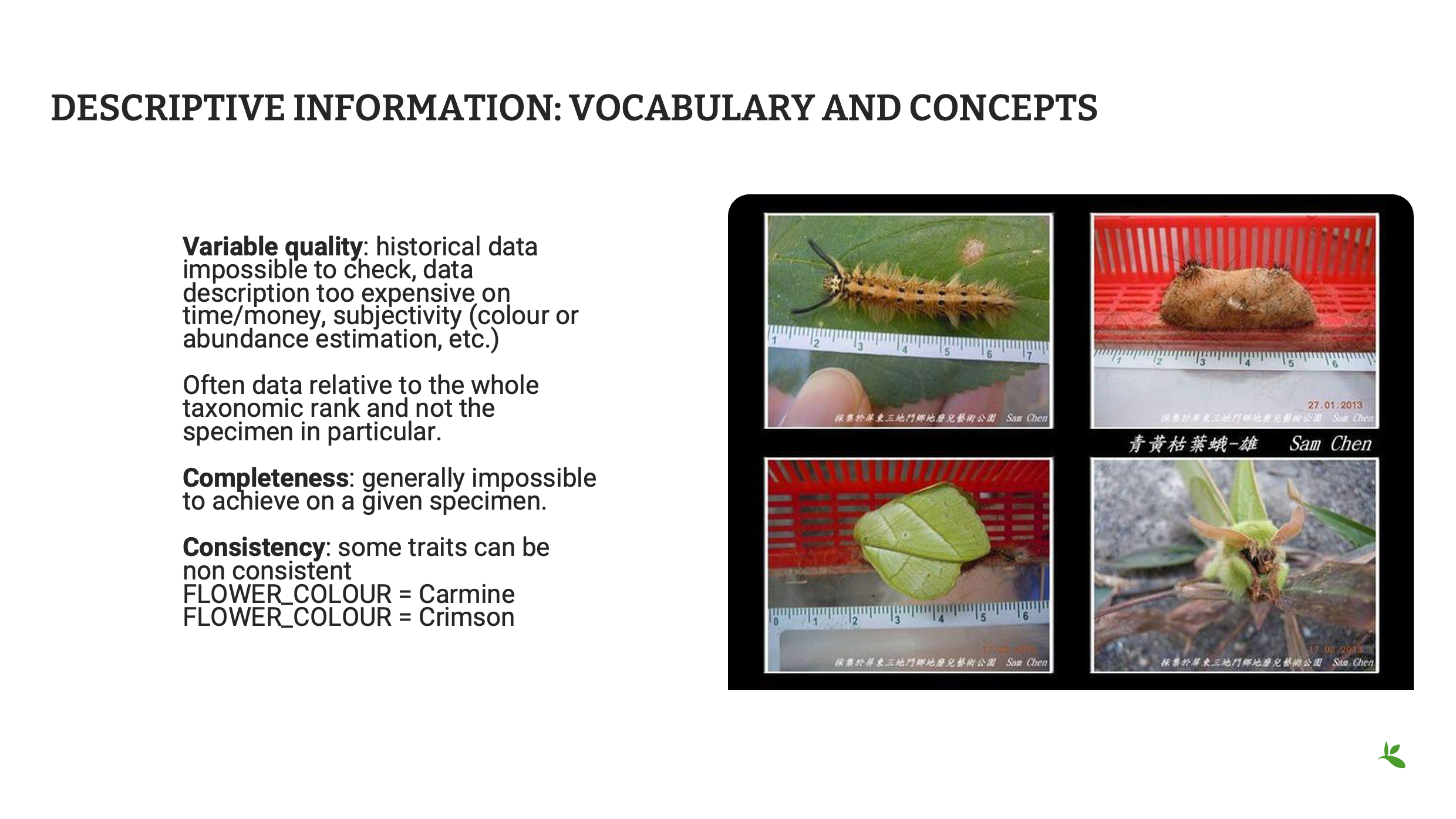 capture quality Slide16