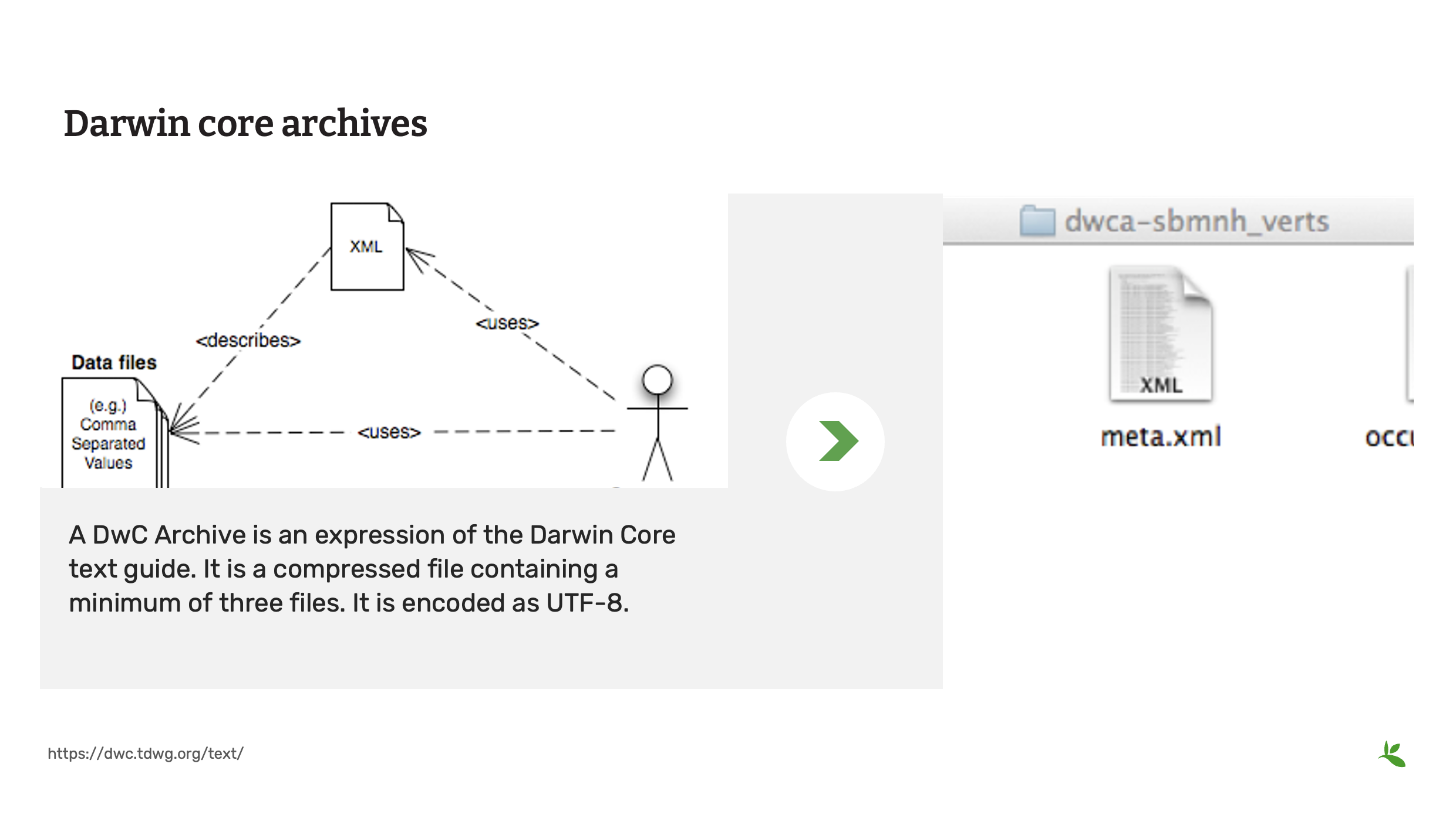 capture standards dwc Slide17