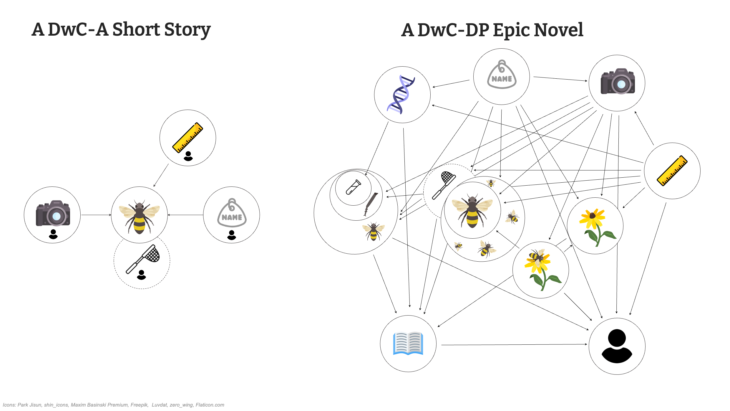 capture standards dwc Slide21