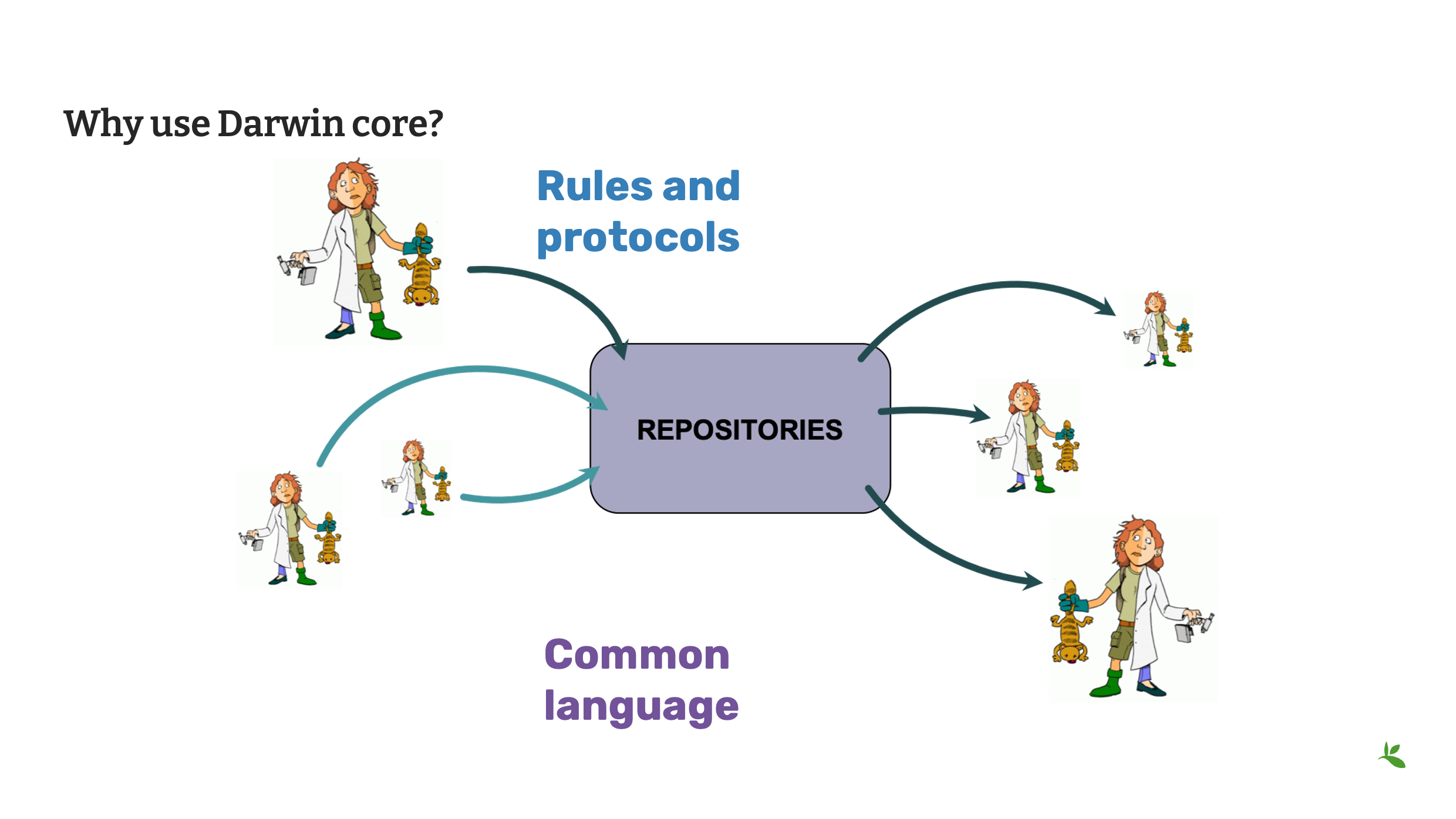 capture standards dwc Slide23
