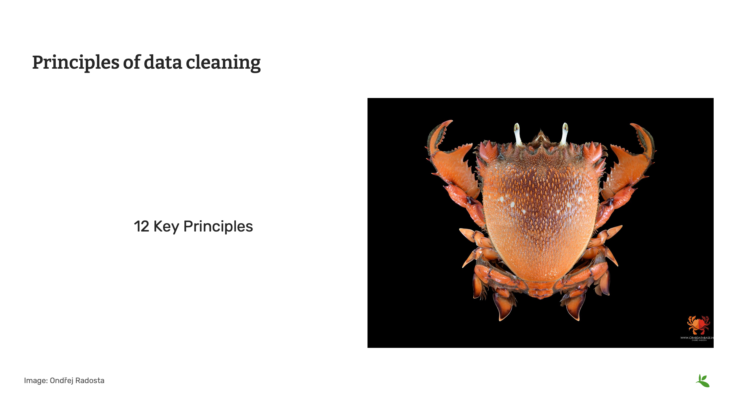 management cleaning concepts Slide6
