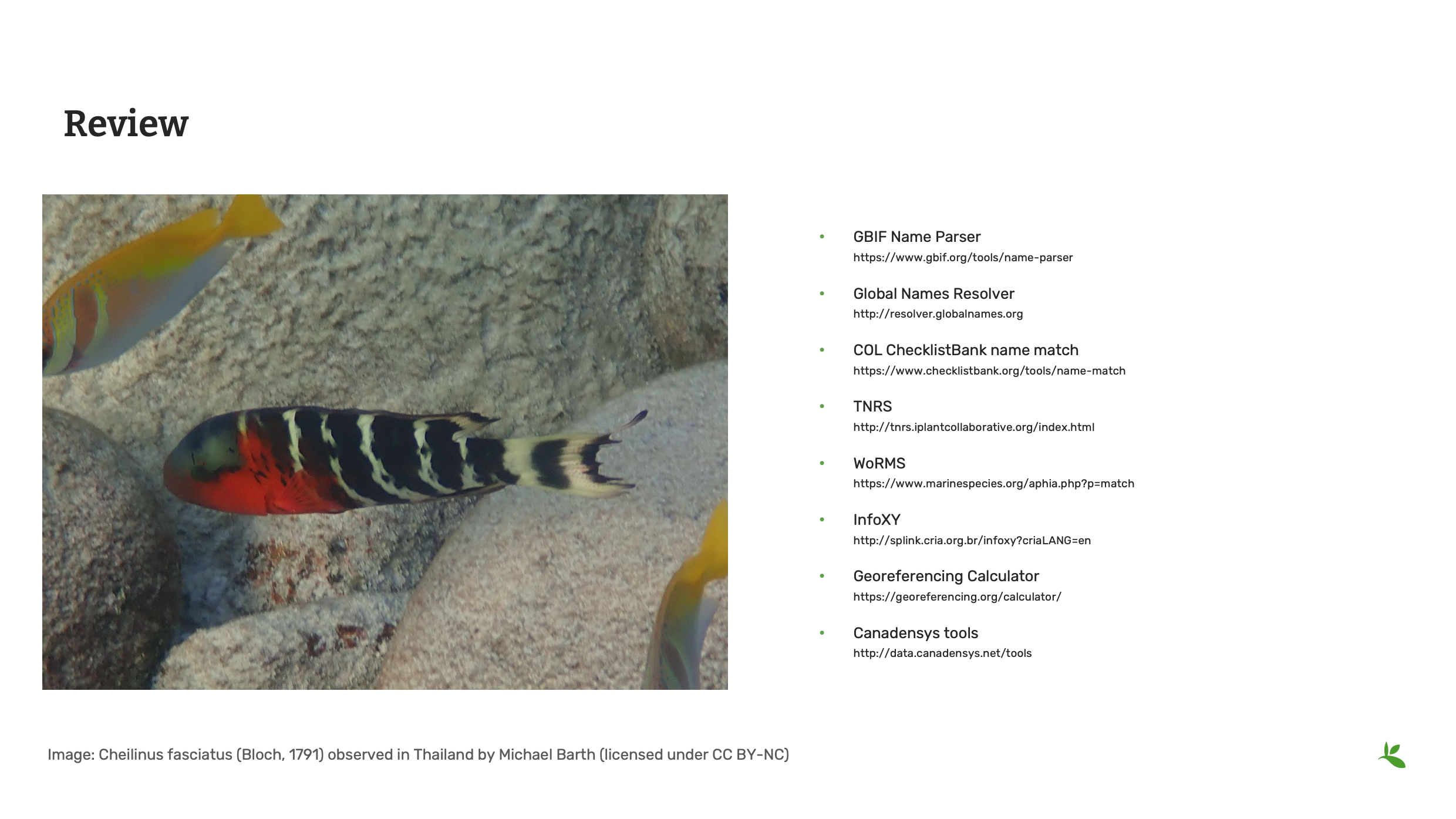 management tools Slide13