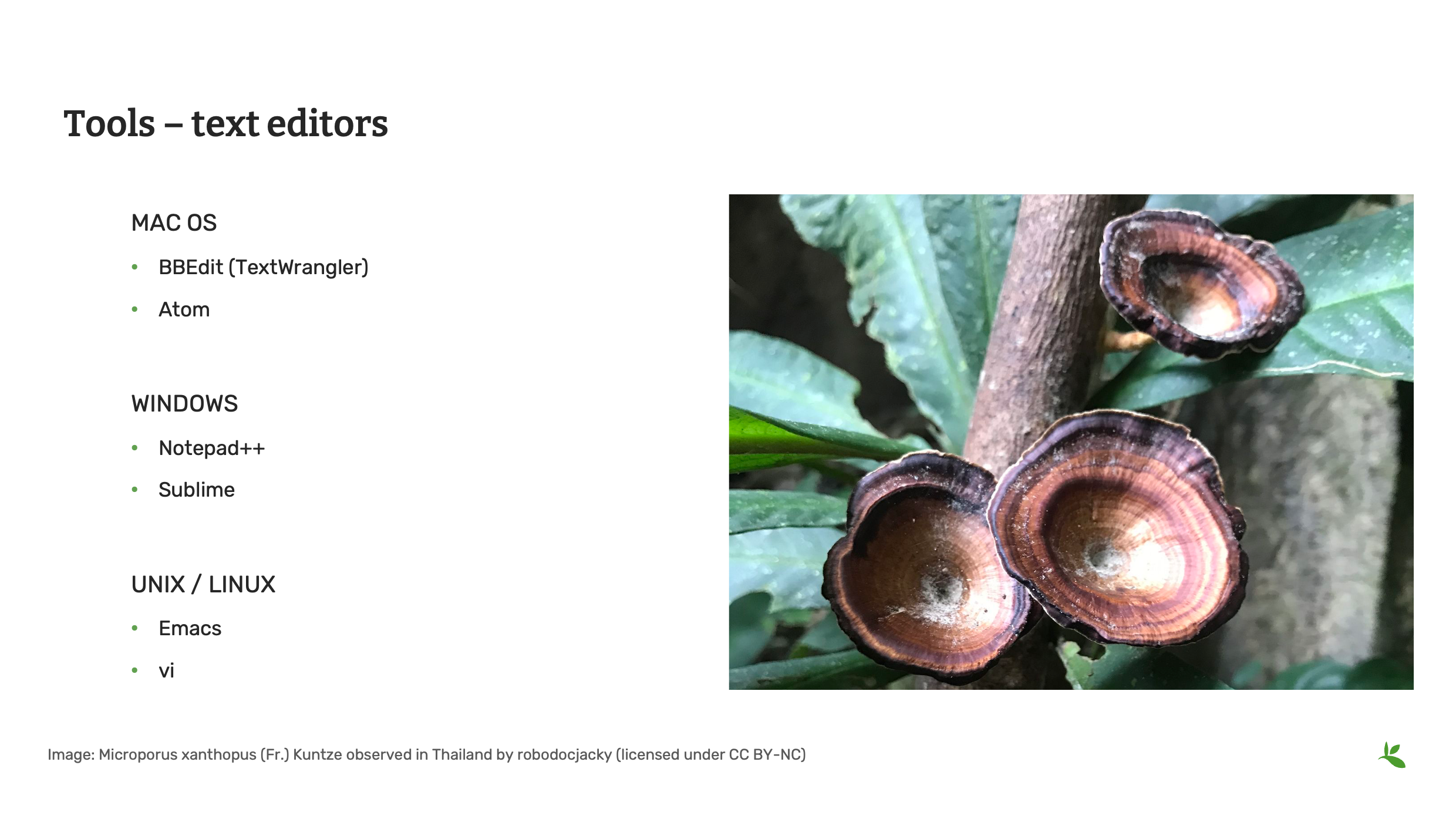 management tools Slide7