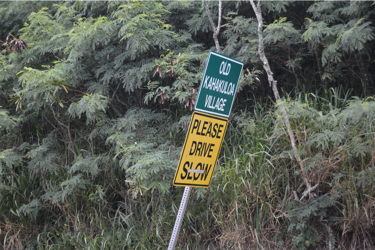 use case invasives hawaii