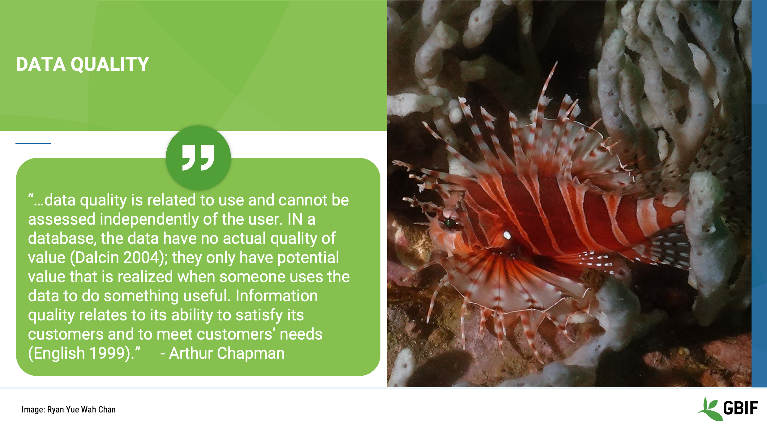 foundations data quality Slide4