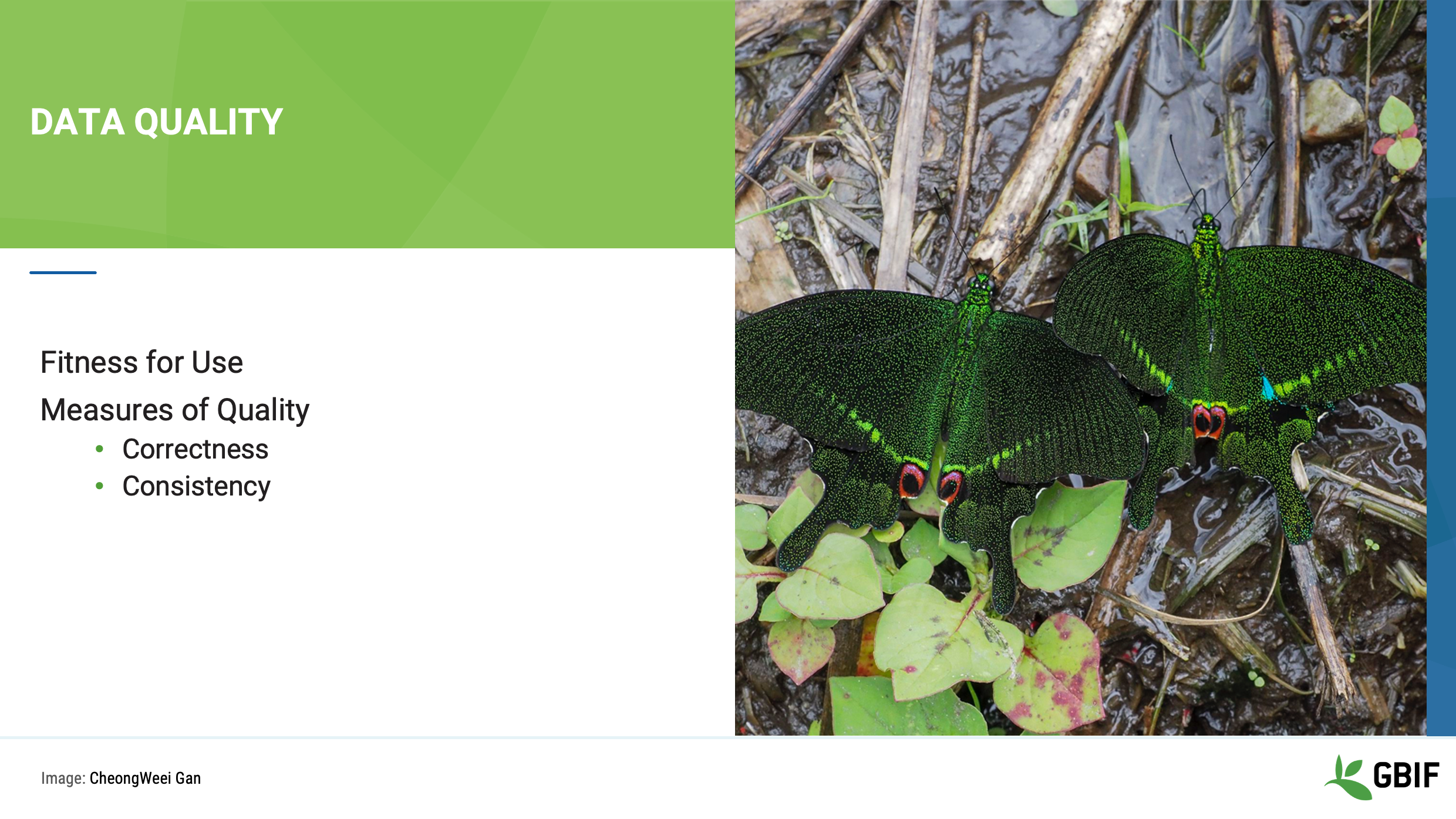 foundations data quality Slide5