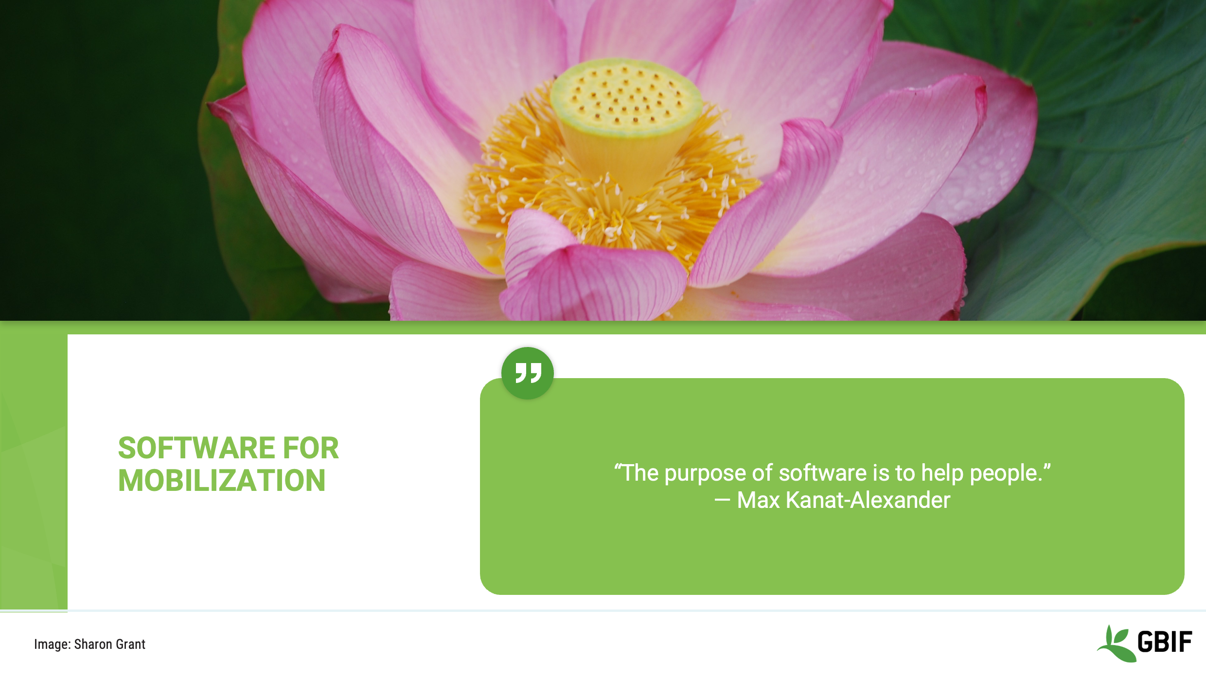 foundations software Slide2