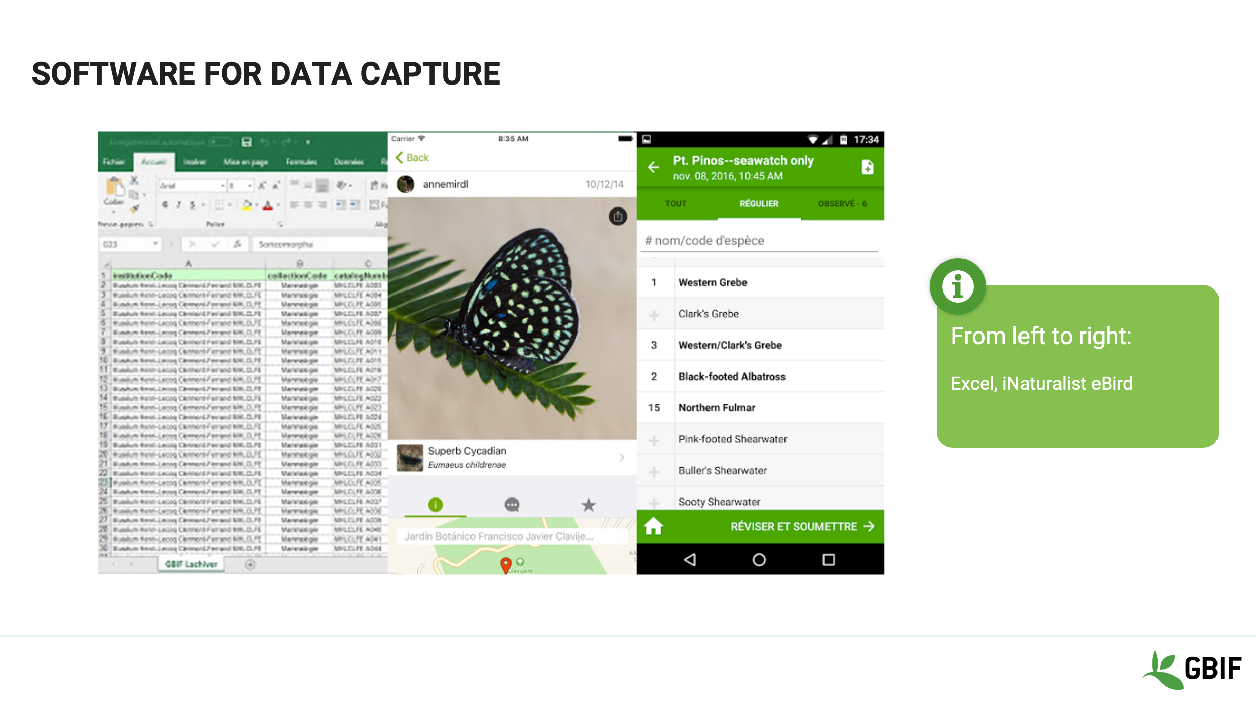 foundations software Slide4