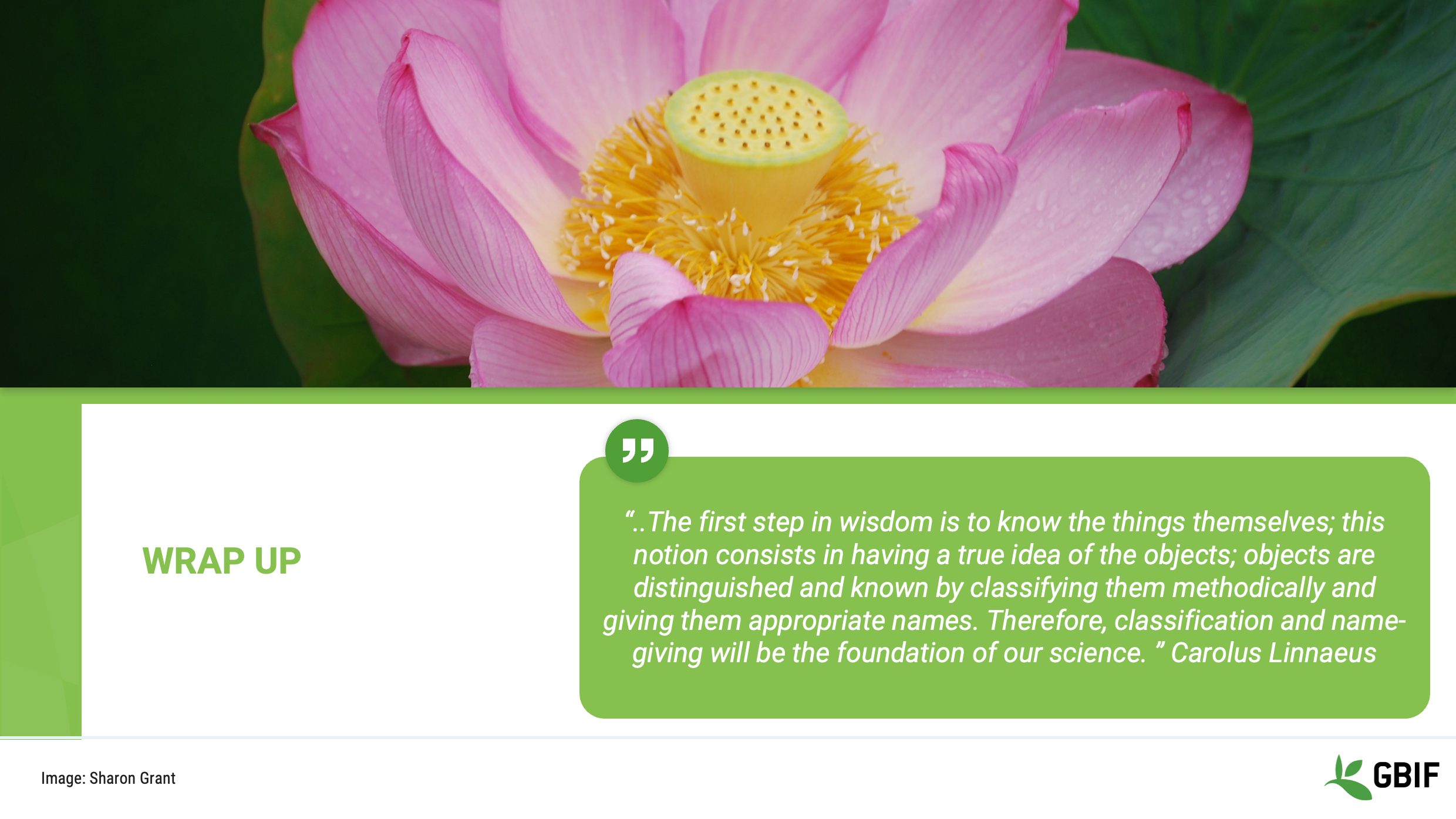 foundations terminology Slide20