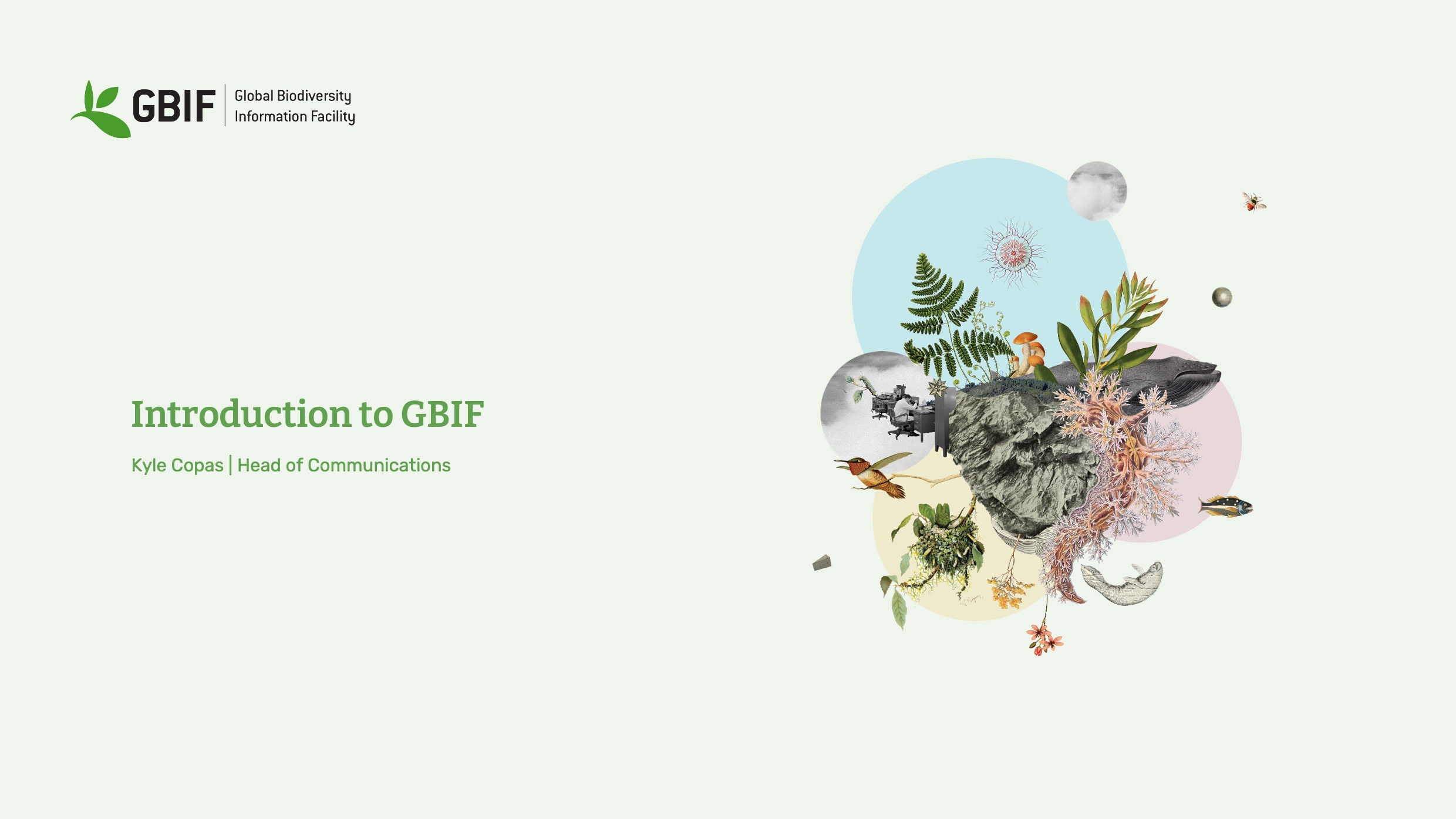 intro to gbif Slide1