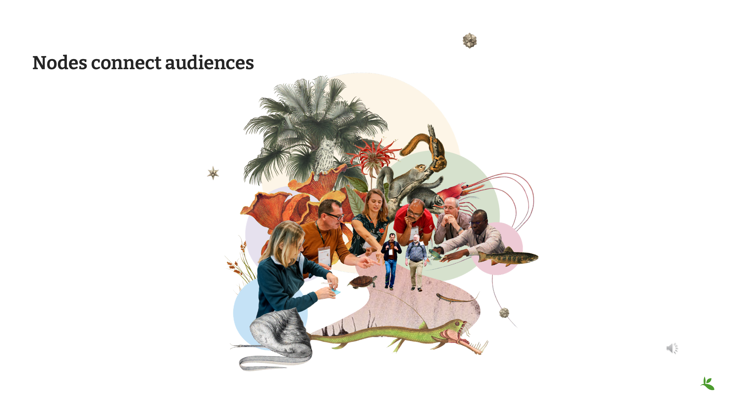 role of nodes Slide13